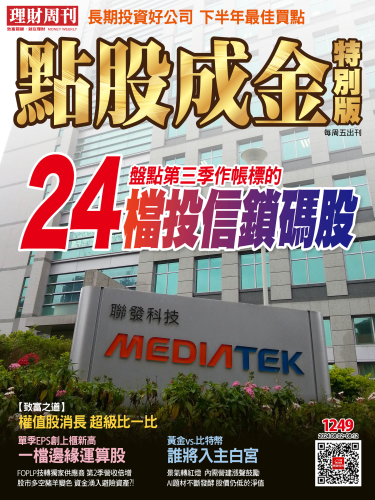 第1249期 點股成金